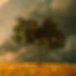 album-featured-image-03