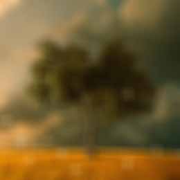 album-featured-image-03